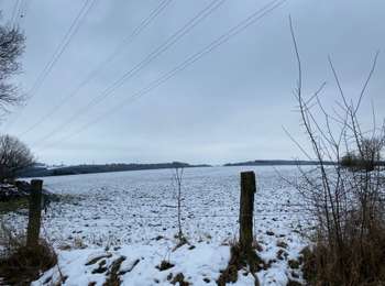 Trail Walking Houffalize - Houffalize 24 Km - Photo
