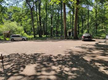 Randonnée Marche nordique Sainte-Mesme - Dourdan - Photo