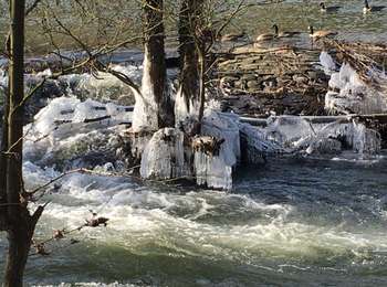 Excursión Bici de montaña Lieja - Trop dimanche  - Photo