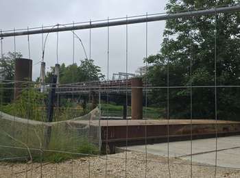 Trail Walking Joigny - Joigny - Villeneuve sur Yonne et 2/3  - 35 km IBP 97 - Photo