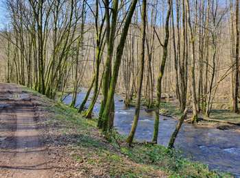 Tocht Stappen Daverdisse - Daverdisse - Du Gaudru - G1 - Photo