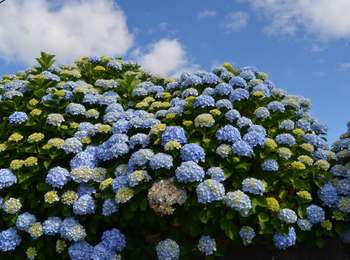 Tocht Te voet Ardegão, Freixo e Mato - Percurso/Trilho de S. Julião de Freixo - Photo