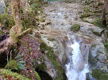Trail Walking Chassal-Molinges - Molinges - cascade de Vulvoz  - Photo