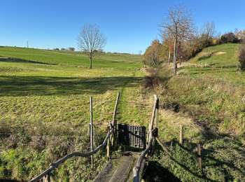 Trail Walking Welkenraedt - Welkenraedt -Eupen 24,5 km - Photo