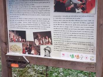 Trail Walking Quévy - champs Éole quevy - Photo