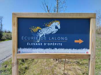 Percorso Marcia Teilhède - Teilhéde Combronde - Photo