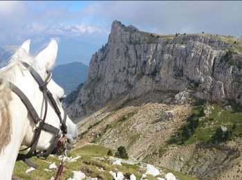 Trail Horseback riding Saint-Agnan-en-Vercors - Vassieux - Col du Rousset vers Grand Veymont - Photo