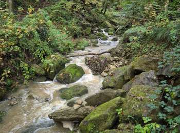 Excursión Senderismo Echternach - Mullerthal E1 - Photo