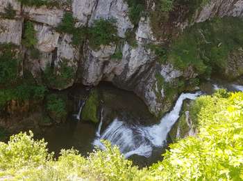 Trail Walking Le Vaudioux - La Billaude 20190619 - Photo