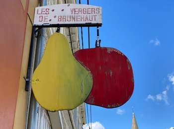 Trail Walking Brunehaut - Rongy 11,1 km - Photo