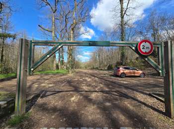 Tour Wandern Auvers-Saint-Georges - Morigny-Champigny - Photo