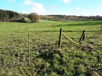Trail Horseback riding Beaumont - Renlies - Photo