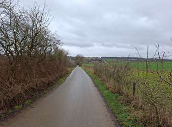 Tocht Stappen Amay - jehay fize-fontaine eau- village-foret - Photo