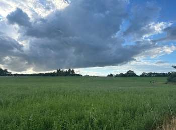 Trail Walking Colombe-lès-Vesoul - Colombe-damplavey-thumulus-colombe - Photo