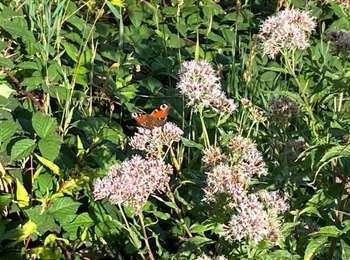 Percorso Marcia Saint-Rémy-sur-Durolle - La découverte des villages - Photo