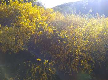 Trail Walking Amage - Amage 2022 - Photo