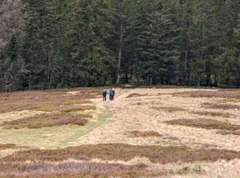 Tour Wandern Woll - 2023-04-15 Marche Abri Collet de Etang vers Abri Lac de Blanchemer - Photo