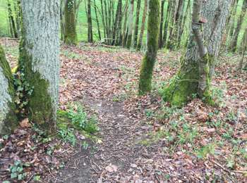 Randonnée Marche Lèves - Haut de Leves al/ret. Par seresville  - Photo