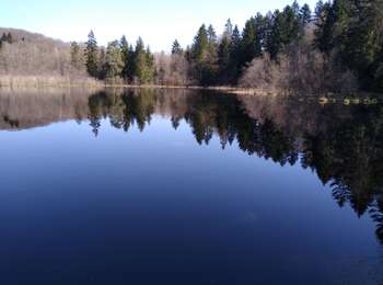 Trail Walking Sainte-Marie-en-Chanois - circuit des 2 chapelles amage - Photo