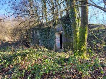 Trail Walking Sevenans - Randonnée des forts depuis Sévenans - Photo