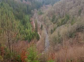 Percorso Marcia Malmedy - 2021-10-22_19h44m15_1102 - Photo