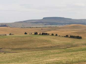 Percorso A piedi Saint-Alyre-ès-Montagne - Jassy - Photo