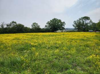 Tour Wandern Philippeville - Lautenne 100625 - Photo