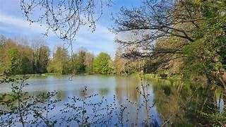 Trail Walking Soucy - GPX Download: Forêt de Soucy-Launay boucle à partir de Soucy - Photo