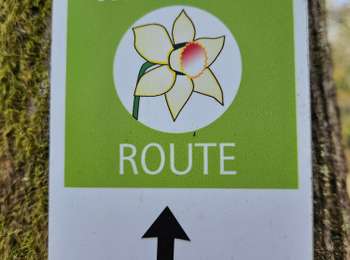 Tocht Stappen Monschau - 2024-03-28_17h00m40_partnerweg-des-eifelsteigs-narzissenroute (1) - Photo