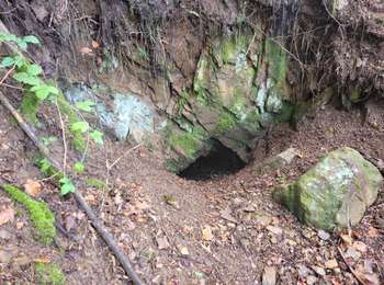 Trail Walking Plancher-les-Mines - Plancher les mines - sentier des mines - croix du choléra - Planche des Belles Filles - sentier FFI - Mont Menard - Plancher les Mines - Photo