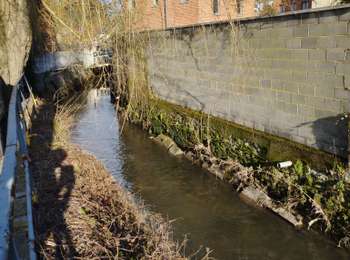 Trail Walking Écaussinnes - Ecaussinnes et le Bois de la Houssiere - Photo