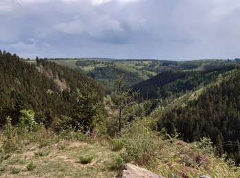 Tocht Mountainbike Waimes - DDO-SUPER-02 - Photo