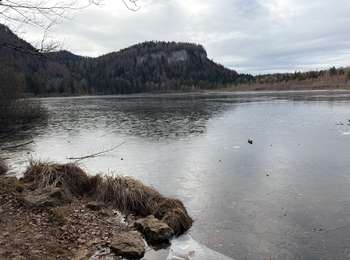 Tour Wandern Bonlieu - LAC DE BONLIEU  - Photo