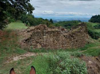 Trail Horseback riding Saint-Victor - petit tour le soleil - Photo