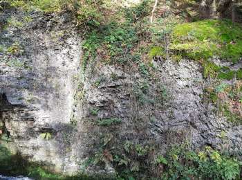 Percorso A piedi Plombières - Parcours Natagora 6 km - Photo
