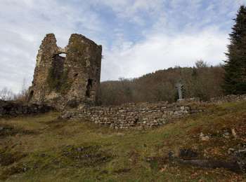 Percorso A piedi Montfermy - Foret Domaniale de la Chartreuse - Photo