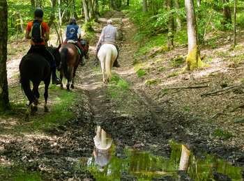 Excursión Caballo Libin - Chevauchée des vallées sauvages  - Photo