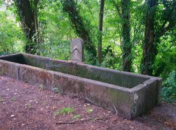 Percorso Marcia Charbonnières-les-Varennes - Facemeunier, Manoir de Veygoux  - Photo