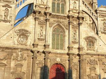 Trail Walking Auxerre - Auxerre - Photo