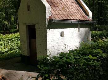 Trail Walking Silly - HT-06_complet - Photo