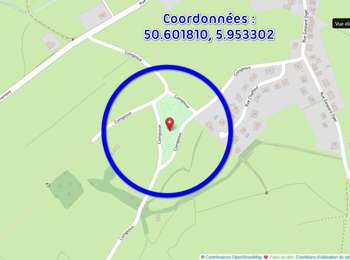 Trail Walking Limbourg - suuntoapp-Trekking-2026-02-16T12-39-48Z - Photo