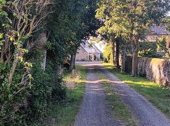 Trail Walking Tardinghen - parking du chapelet  - batterie todt, via campagne, retour par les falaises - Photo