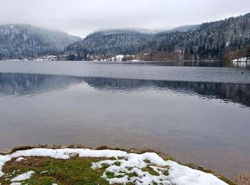 Tour Wandern Xonrupt-Longemer - Le tour du lac de longemer  - Photo