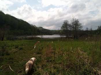 Trail Walking Cernon - Belvédère du Chatelet - Lac de Viremont - Photo
