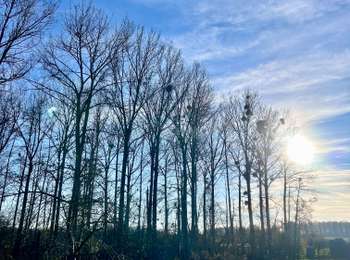 Trail Walking Braives - Tracé - Photo