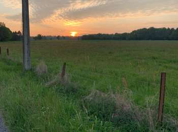 Trail Walking Anderlues - Balade Lobbes-Thuin-Anderlues  - Photo