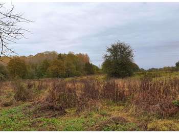 Trail Walking Walcourt - Balade à Fraire - Photo