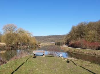 Trail Walking Fontaine-l'Évêque - Balade à l'abbaye d'Aulne  - Photo