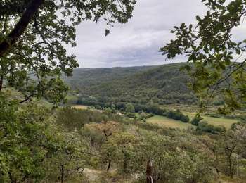 Tocht Stappen Les Junies - T1 - Photo