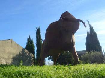 Trail Walking Talairan - TALAIRAN - Gourg Goutonnier  - Photo